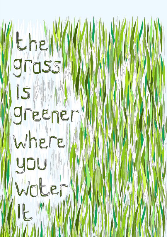 The Grass Is Greener Where You Water It Steal And Share